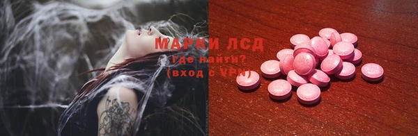 гидра Новозыбков