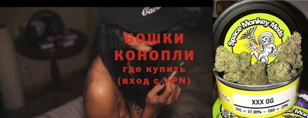 спиды Новодвинск