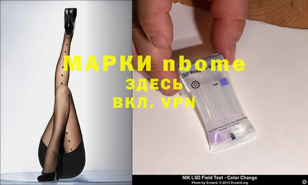 гидра Новозыбков