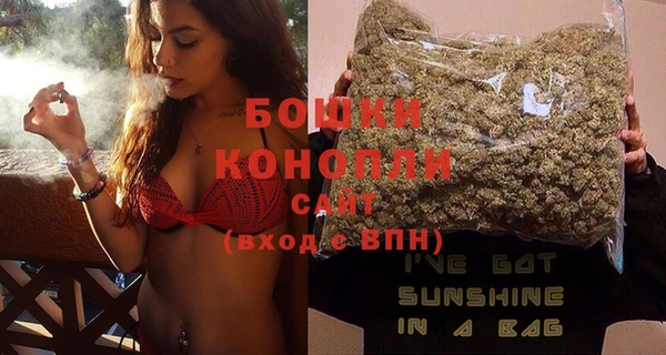 гидра Новозыбков