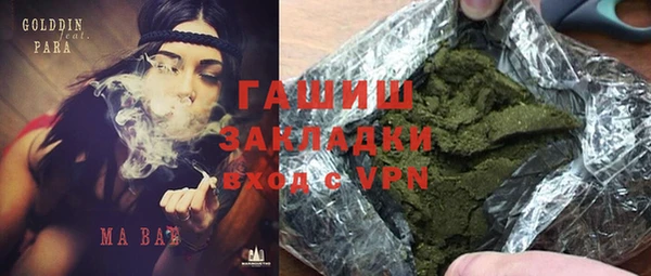 гидра Новозыбков