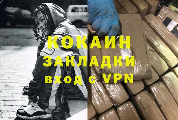 гидра Новозыбков