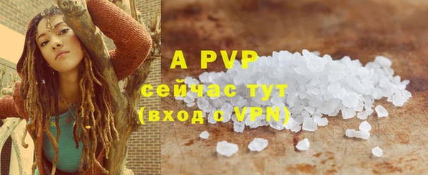 спиды Новодвинск