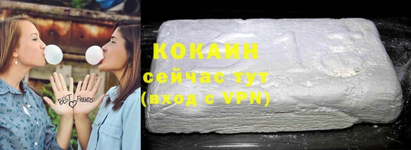 гидра Новозыбков